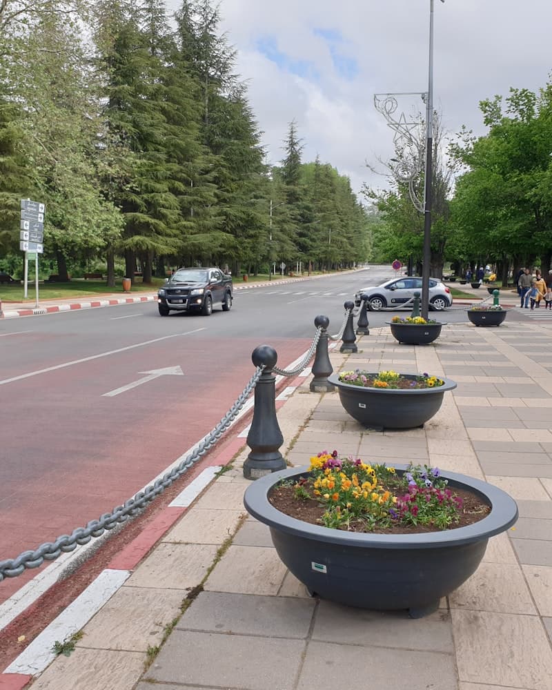 Ifrane